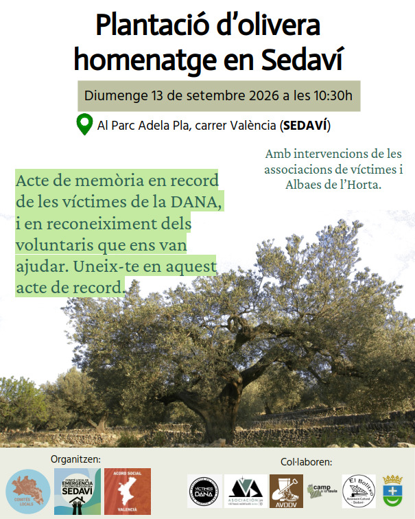 Cartell sobre la plantació de l'olivera, amb la dada, lloc i explicacó com la que hi ha en el text de la notícia. La imatge es d'un olivar (no urbà), i baix estan els logos dels CLER (general i de Sedaví), de l'Acord Social Valencià, de les 3 associacions de víctimes, de Del Camp a la Taula, de El Bolitxo i de l'Ajuntament de Sedaví.